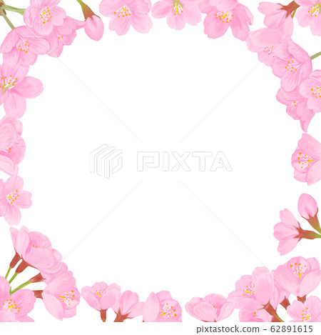 櫻花框架 62891615