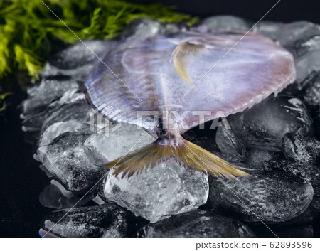 Fresh fish tail and dill on ice. Vomer.Closeup 62893596