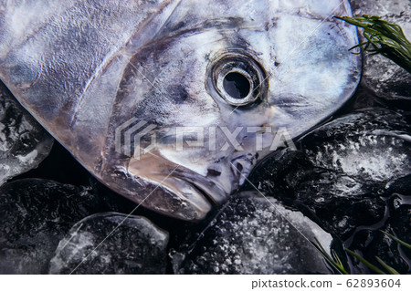 Fresh fish (Vomer or Selene setapinnis ) on melted Fresh fish (Vomer or Selene setapinnis ) on melted 62893604