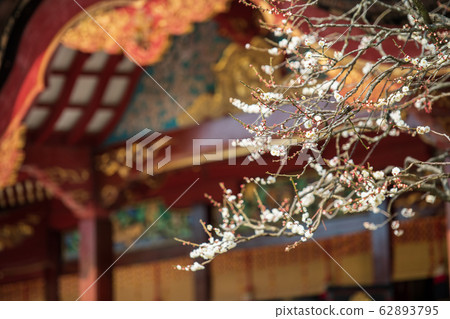 太宰府天滿宮的Hibai [福岡縣] 62893795