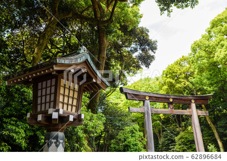lamp and Torii Gate of Meiji Jingu shrine, Tokyo lamp and Torii Gate of Meiji Jingu shrine, Tokyo 62896684