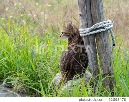 blue sky and white clouds background blue sky and white clouds background 62898478