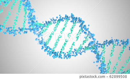 DNA molecule helix, 3D rendering 62899508