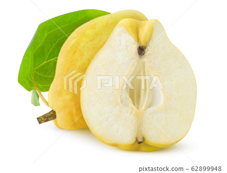 One Isolated quinces 62899948