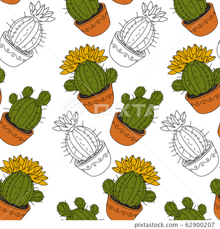 Seamless pattern with cactus and succulents in the pots. Hand drawn background. Vector illustration 62900207