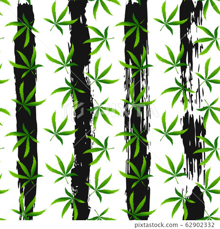 Seamless pattern with realistic cannabis leaf  62902332