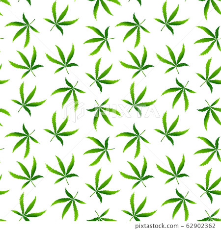 Seamless pattern with realistic cannabis leaf Seamless pattern with realistic cannabis leaf 62902362