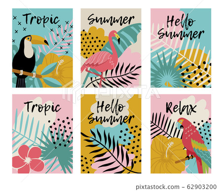 set of tropical birds and flowers vector set of tropical birds and flowers vector 62903200