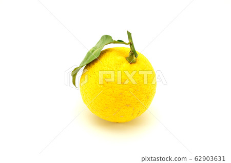 Yuzu Yuzu Yuzu Yuzu Yuzu Yuzu 62903631
