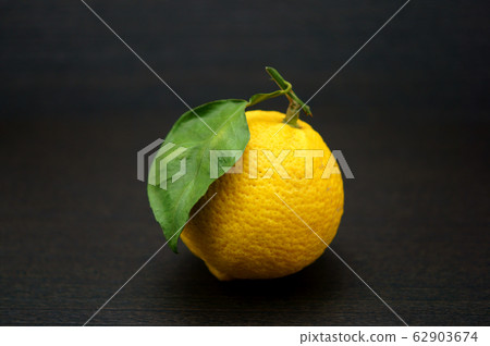 Yuzu Yuzu Yuzu Yuzu Yuzu Yuzu 62903674
