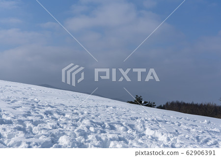 Sheep Ranch, Daegwallyeong, Pyeongchang-gun, Gangwon-do 62906391