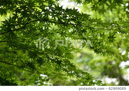 City view Kanagawa Kamakura City Ofuna 62909089