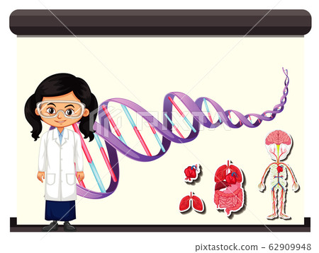Scientist with diagram of human DNA Scientist with diagram of human DNA 62909948