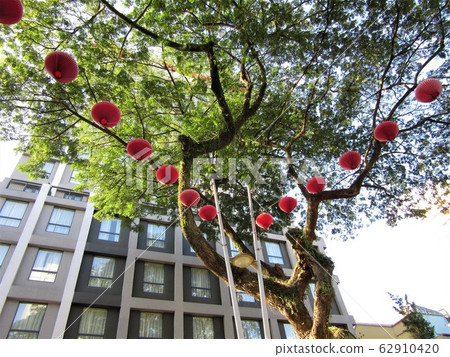 馬來西亞旅遊圖片Arrow Street Bukit Bintang Jalan Alor 馬來西亞旅遊圖片Arrow Street Bukit Bintang Jalan Alor 62910420