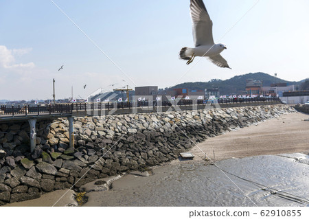 京畿道華城市Jebu島 京畿道華城市Jebu島 62910855