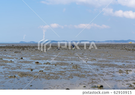 Jebu Island, Hwaseong City, Gyeonggi Province 62910915