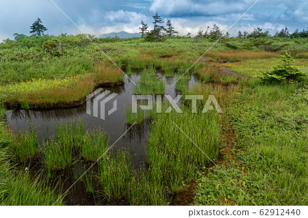 Mt. Hiragatake wetlands in summer 62912440