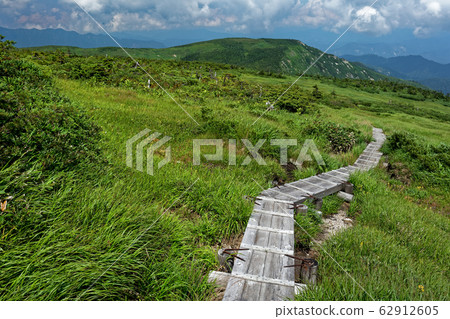 夏天的平岳岳峰沼 夏天的平岳岳峰沼 62912605