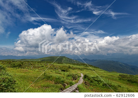 Hiragatake summit moor in summer Hiragatake summit moor in summer 62912606