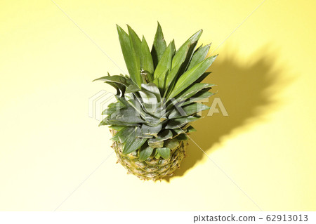 pineapple pineapple 62913013