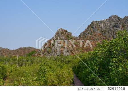 Limestone mountain with red wooden bridge and green leaf bush in mangrove forest , Khao Sam Roi Yot National Park , Thailand Limestone mountain with red wooden bridge and green leaf bush in mangrove forest , Khao Sam Roi Yot National Park , Thailand 62914916