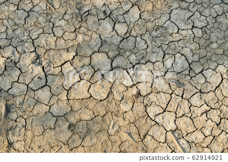 Scorched earth drought landscape dramatic, Global warming concept , Land dry and become cracked dirt Scorched earth drought landscape dramatic, Global warming concept , Land dry and become cracked dirt 62914921
