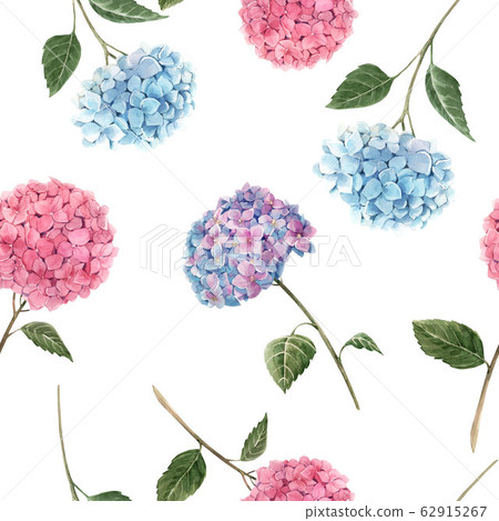 Beautiful seamless pattern with watercolor hydrangea flowers. Stock illustration. Floral background. Beautiful seamless pattern with watercolor hydrangea flowers. Stock illustration. Floral background. 62915267