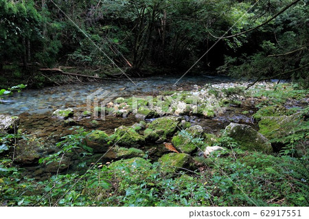 恩原的地下水12(岐阜縣山府市恩原區) 恩原的地下水12(岐阜縣山府市恩原區) 62917551
