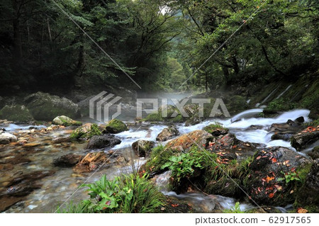 恩原市地下水26.(岐阜縣山府市恩原區) 恩原市地下水26.(岐阜縣山府市恩原區) 62917565