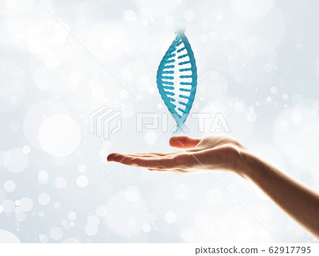 Biotechnology concept presented by DNA molecule in male palm Biotechnology concept presented by DNA molecule in male palm 62917795