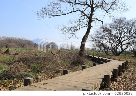 大村崎森林高海川古井公園 62920022