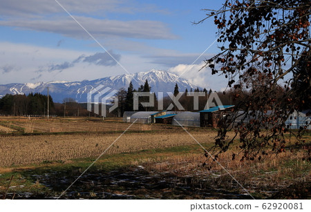 Iwateyama late autumn 62920081