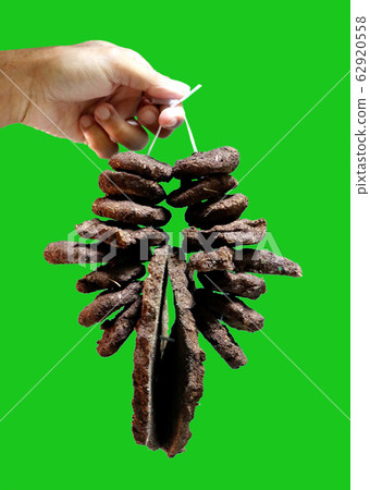 cows dunk image isolated in green background cows dunk image isolated in green background 62920558