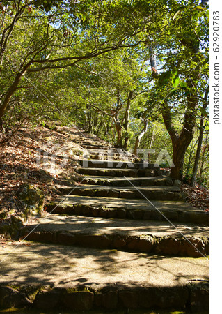 Kinkazan Seven-turn mountain trail Gifu Castle 62920783