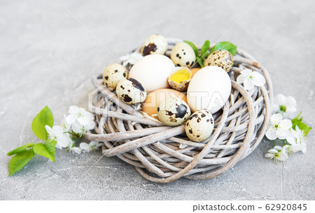 Nest with chicken and quail eggs 62920845