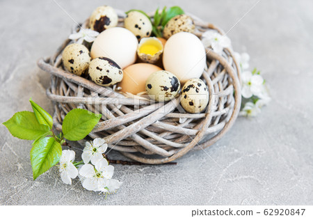 Nest with chicken and quail eggs 62920847