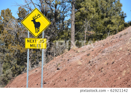 Elk Crossing Sign. Beware of Elk jaywalking across the road. Payson, Tonto National Forest. Arizona USA 62921142