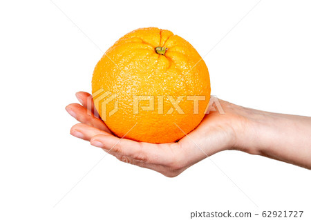 Orange in hand on white background. Vegetarian food and vitamins 62921727