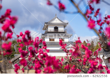 Shiroishi Castle and plum blossoms Shiroishi City, Miyagi Prefecture 62922556