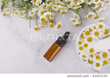 the Memorial Day concept, white chrysanthemum flower 090 62924150