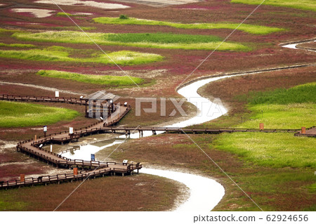 Sinan-gun Jeungdo Saline Botanical Garden 62924656