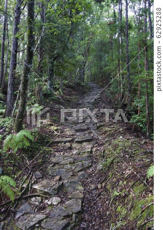 熊野朝聖路線神戶寺的山坡 熊野朝聖路線神戶寺的山坡 62925288