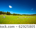 American landscape-green meadow and blue sky 62925805