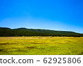 American landscape-green meadow and blue sky 62925806