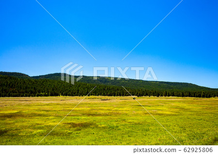 American landscape-green meadow and blue sky 62925806