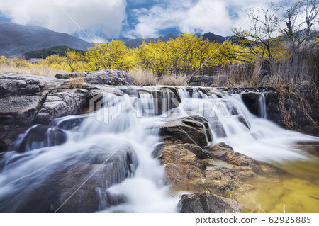 玉米油 玉米油 62925885