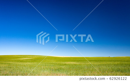 American landscape-grassland and blue sky American landscape-grassland and blue sky 62926122