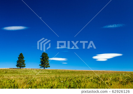 美國風景草原和藍天 美國風景草原和藍天 62926126