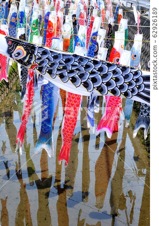 Carp streamer Carp streamer 62926189