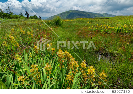 從翠鳥盛開的Henno Pond看到的平岳峰 62927380